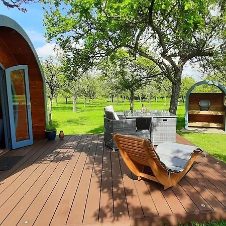 Orchard Farm Luxury Glamping And Campsite 글라스턴버리 외부 사진