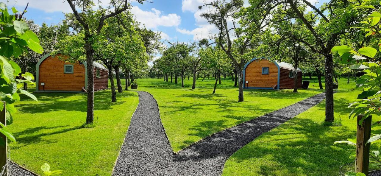 Orchard Farm Luxury Glamping And Campsite 글라스턴버리 외부 사진