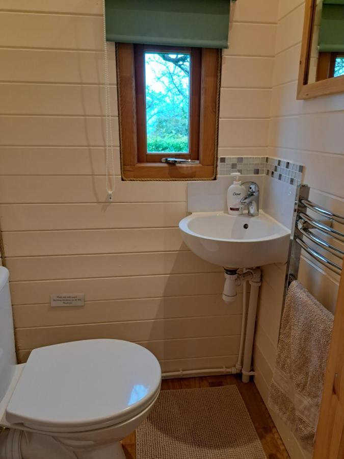 Orchard Farm Luxury Glamping And Campsite 글라스턴버리 외부 사진