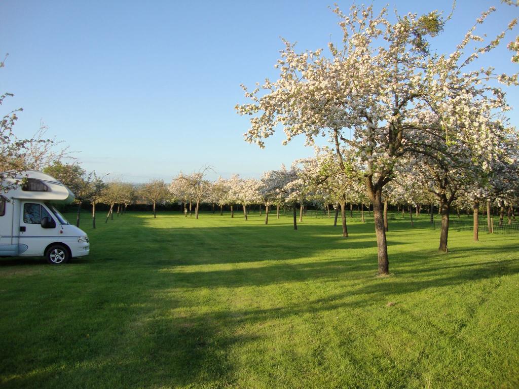 Orchard Farm Luxury Glamping And Campsite 글라스턴버리 외부 사진
