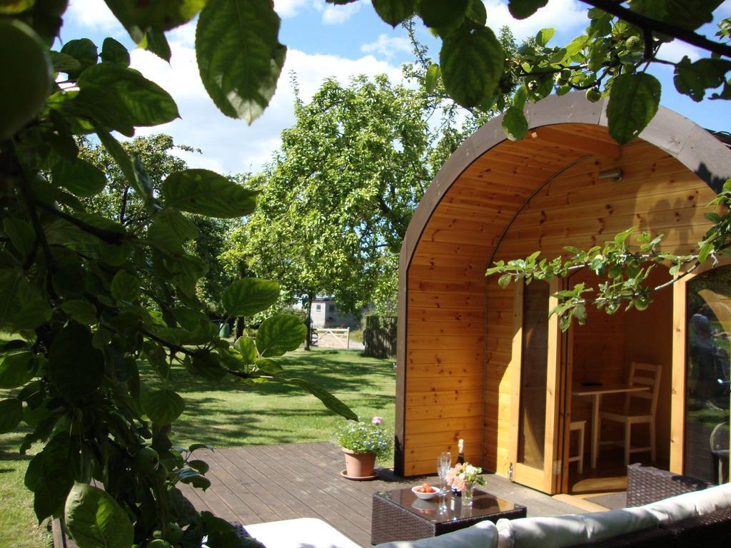 Orchard Farm Luxury Glamping And Campsite 글라스턴버리 외부 사진